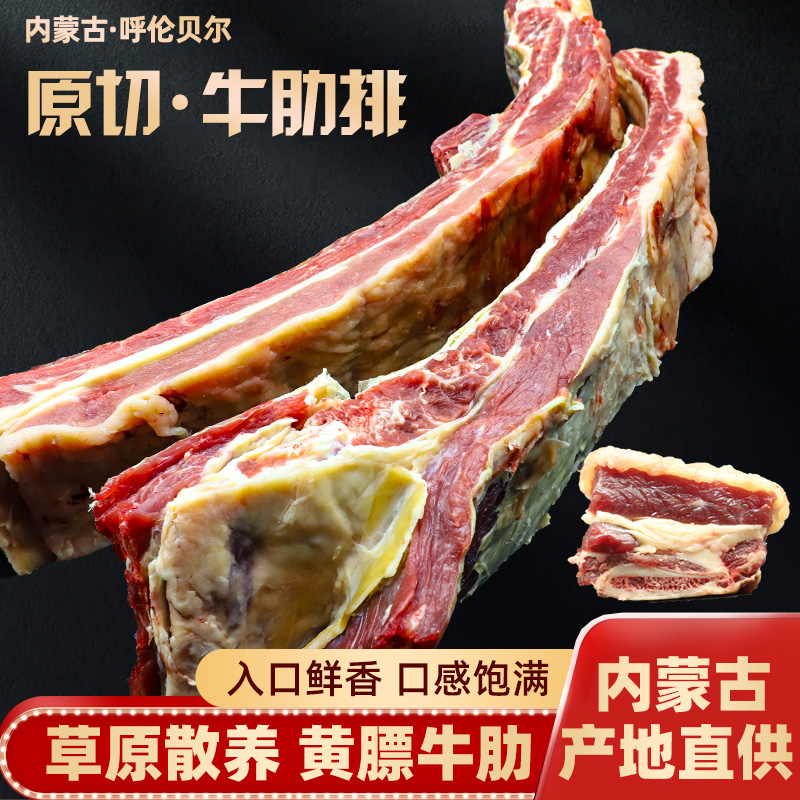 黄膘牛肋排 4斤（2斤/袋*2）呼伦贝尔草原散养黄牛 新鲜原切
