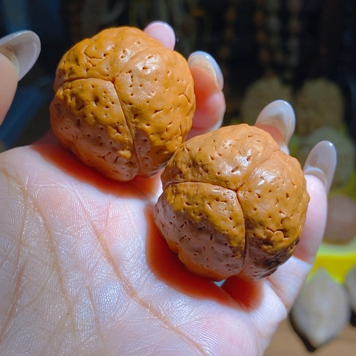 野生三瓣大金刚光头强