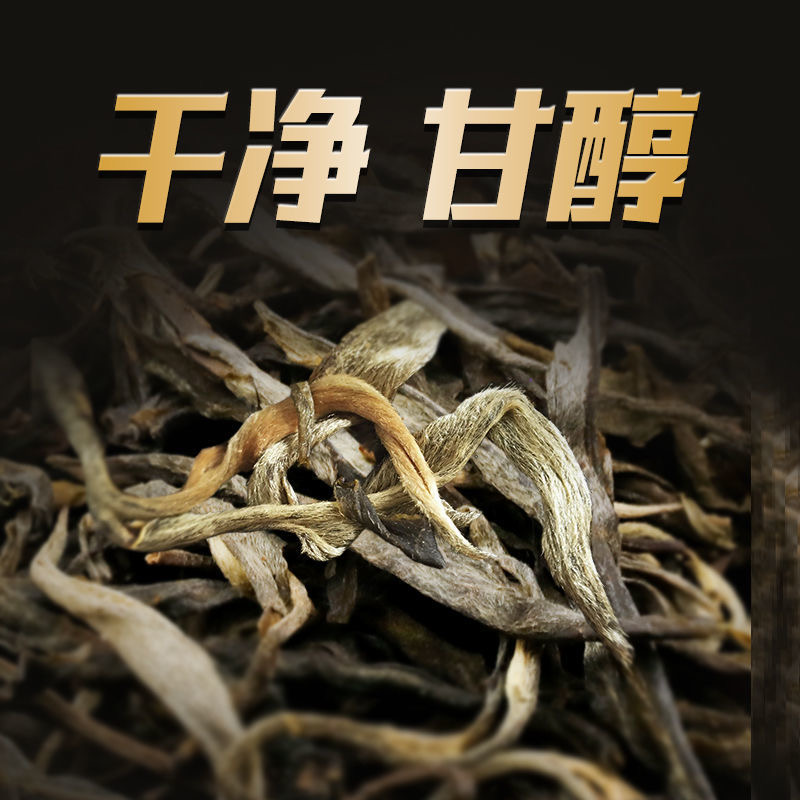 【白莺山千年老妖】2025年云南普洱茶古树头春生茶