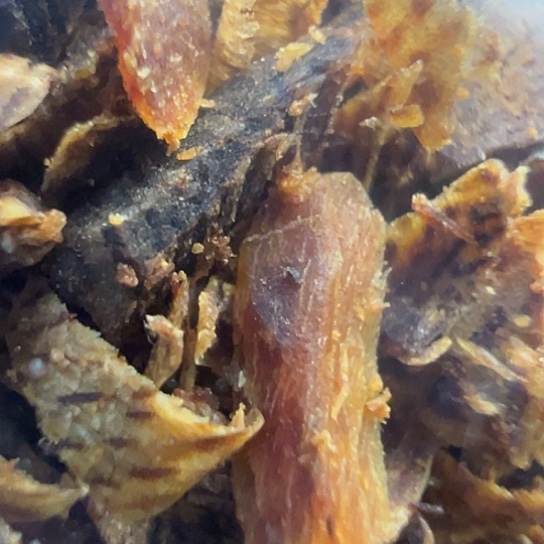 沉香手把件白棋壳子原材料沉水多样性发货50克