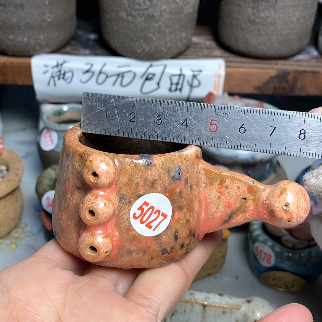 红陶拍5送一个小