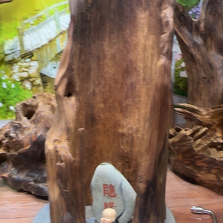 艺***博木我也不知道我为什么