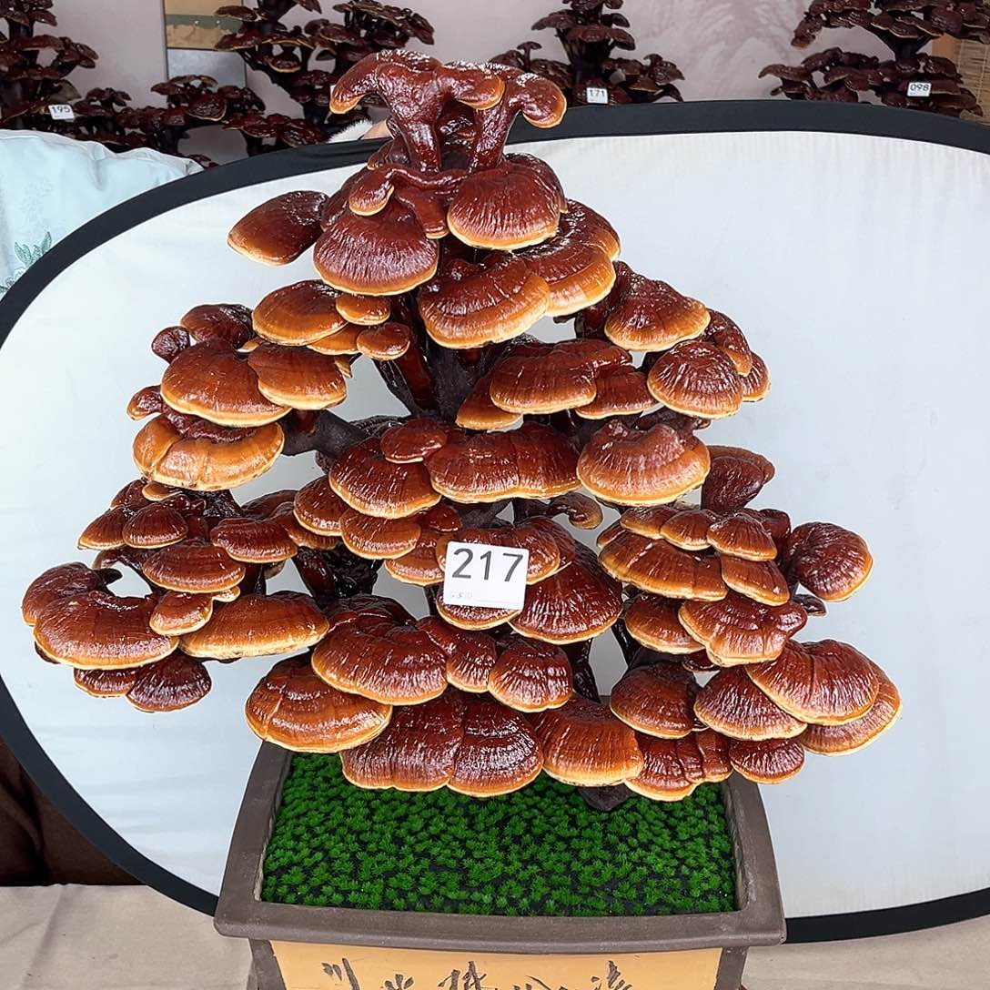 万事如意888888217