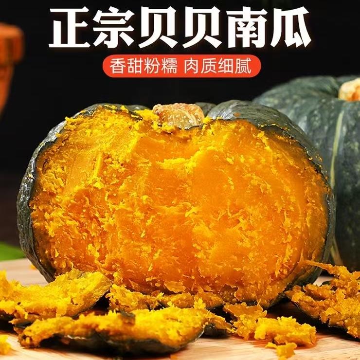 正宗贝贝南瓜粉糯香甜板栗味适合孕妇宝宝辅食