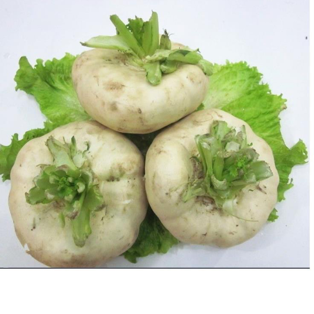 甘肃陇南正宗圆根菜 圆根 家乡的味道