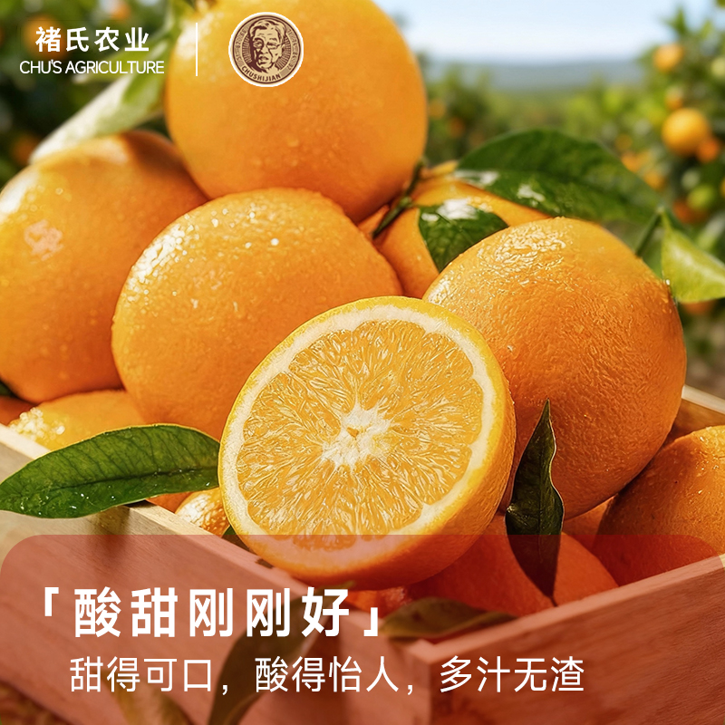 官方正品褚橙庄园官方旗舰店 冰糖橙 皮薄多汁 大果礼盒装