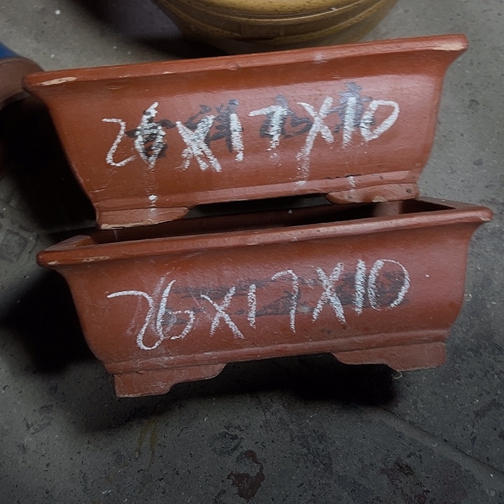 周深周深周深周深 