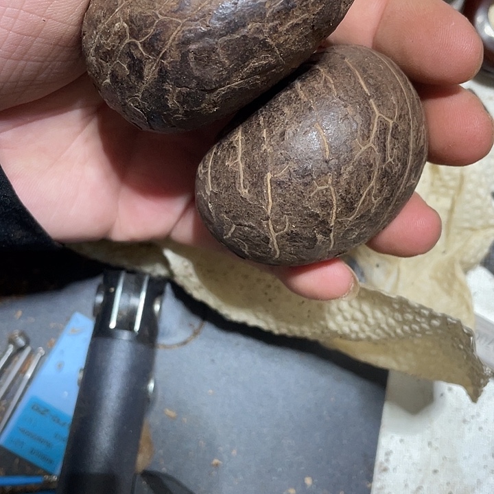 贝***千眼菩提把件天然千眼菩提不退不换