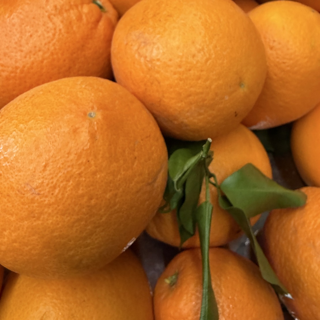 脐橙纯甜汁水足净果五斤