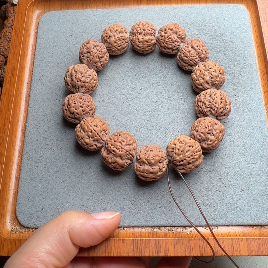 菩提菩提5号尼泊尔大金刚22爆肉梅花