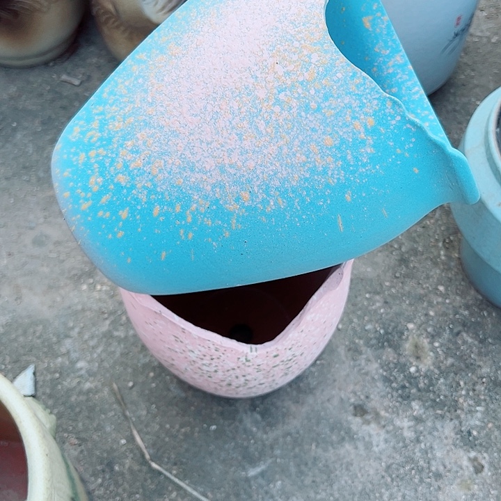 花盆花盆花盆花盆花盆花盆花盆花盆