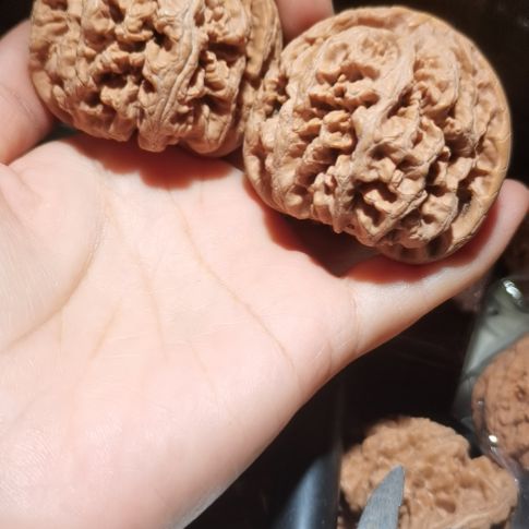 猴头核桃吊坠✨**✨51粗筋狮子