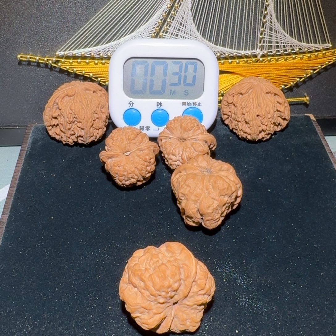 文玩核桃把件逸**室蛤蟆38