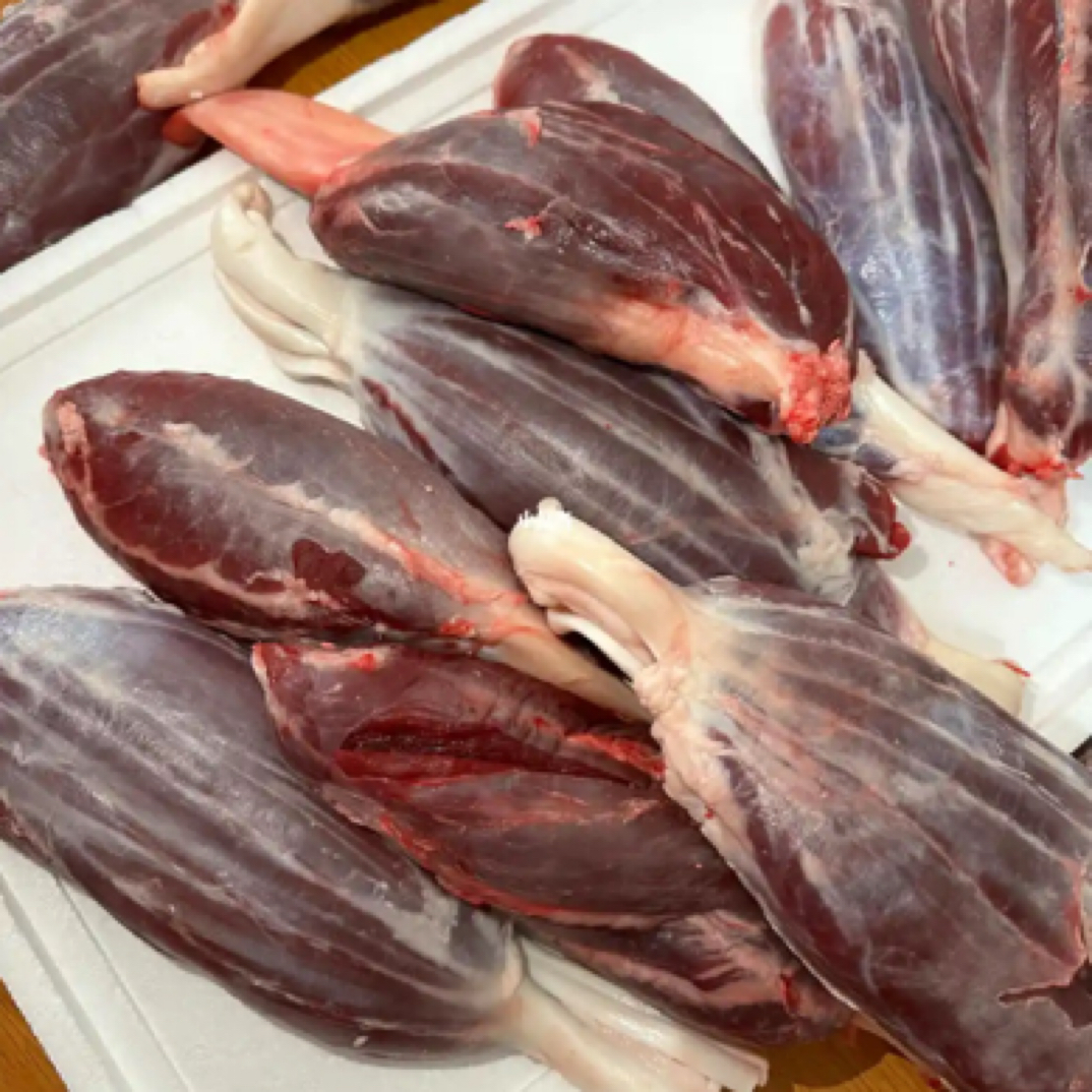 【金钱腱】肉里包筋筋肉互相 腱子中的天花板牛腱子