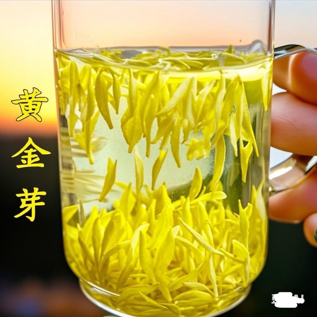 2025年奶白黄金芽支持试喝
