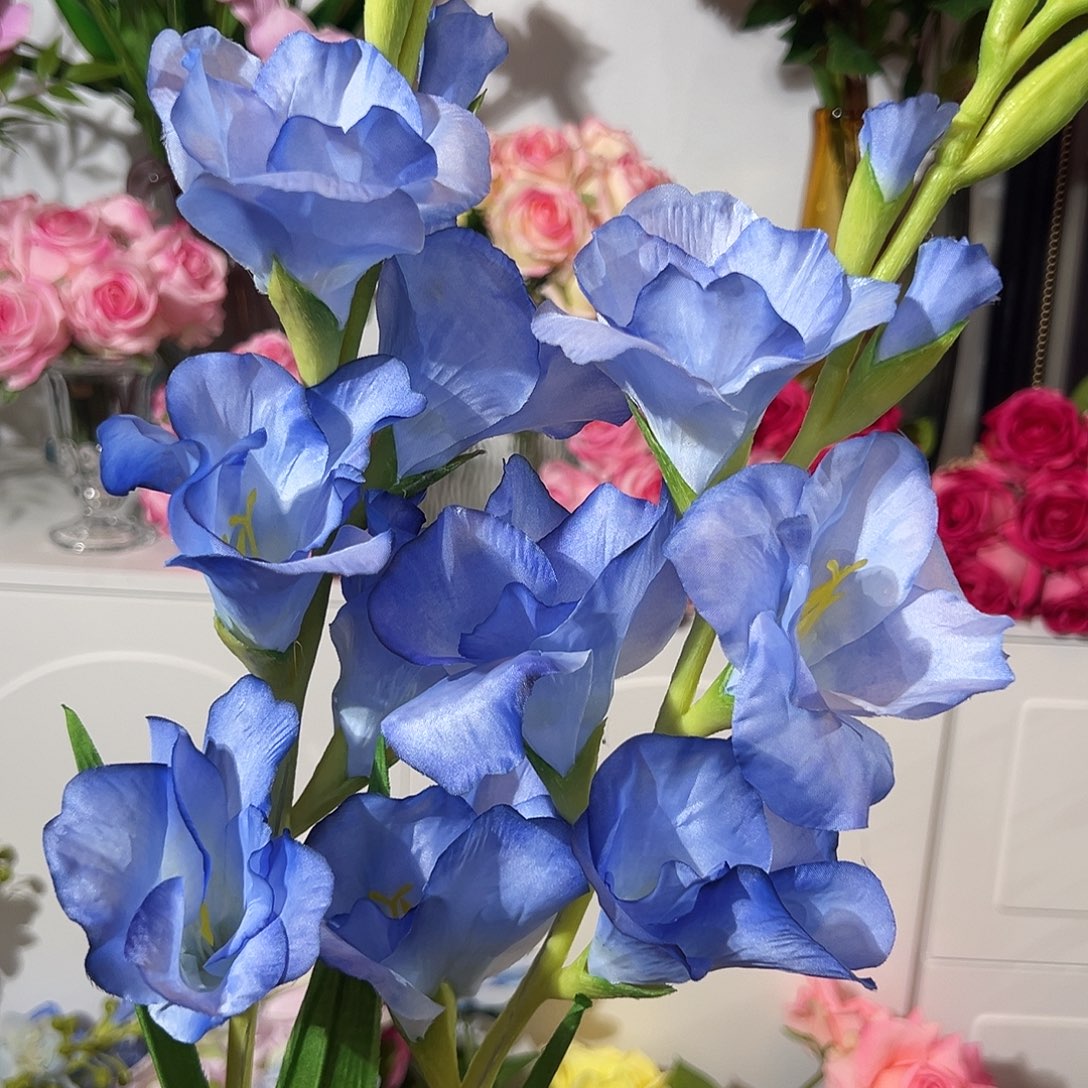 2枝蓝色剑兰花。        