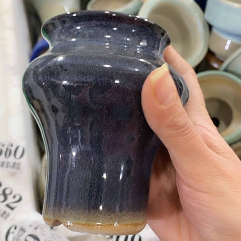 【闪购商品】红陶口6