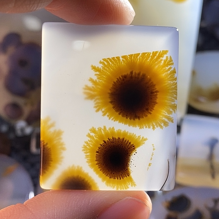 未镶嵌颈饰玛瑙/玉髓