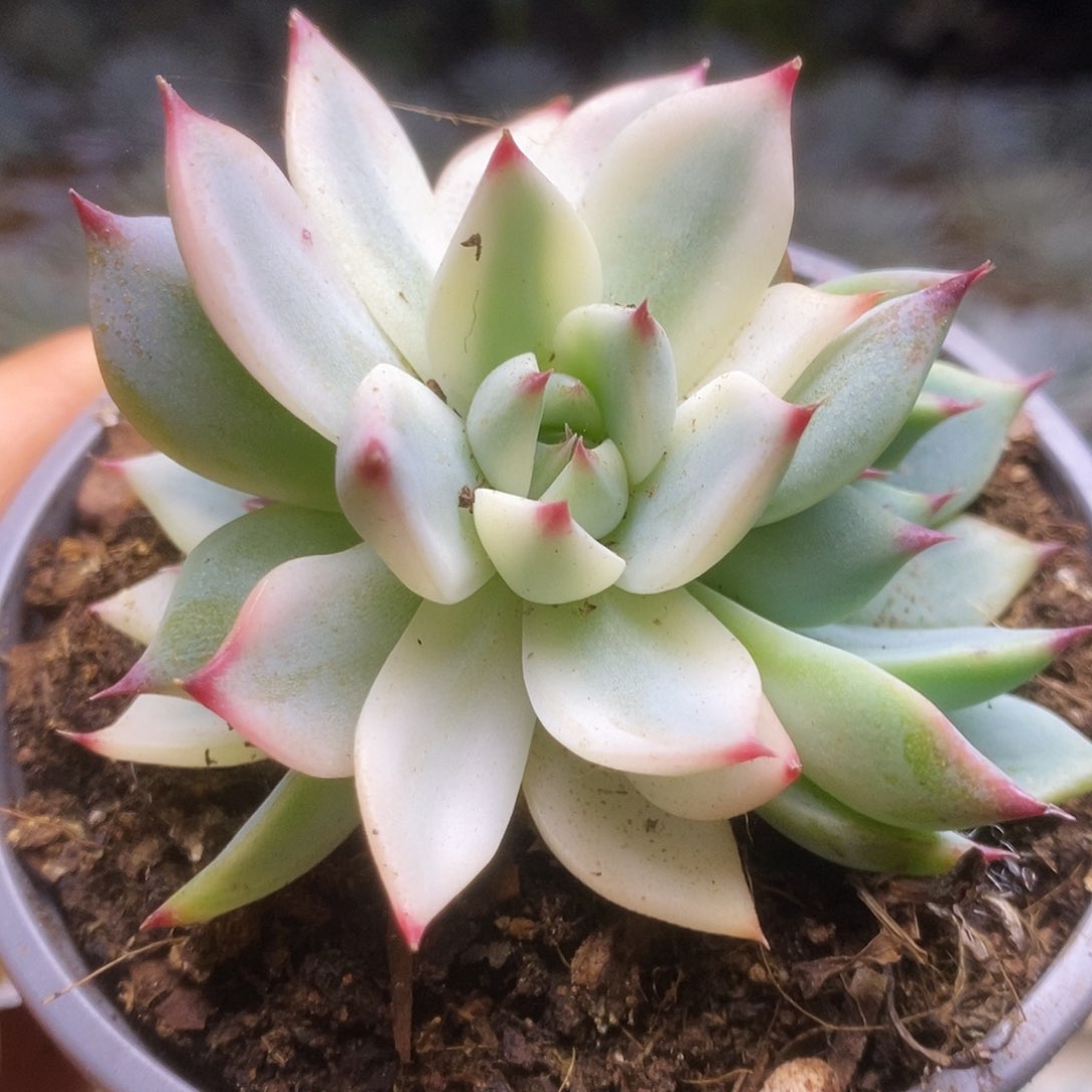 134锦锦锦锦锦锦锦锦