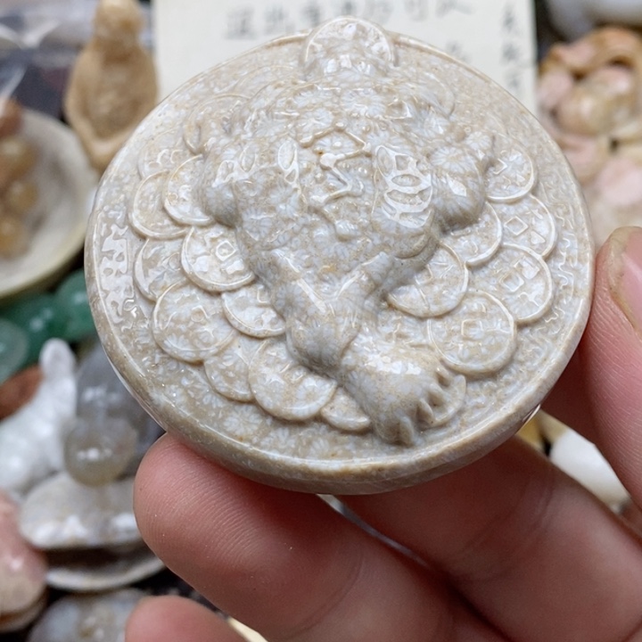 硅化珊瑚（珊瑚玉）未镶嵌颈饰