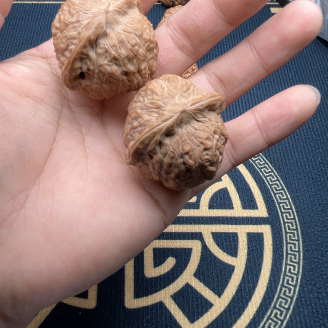 美****精41全品无修南瓜链接