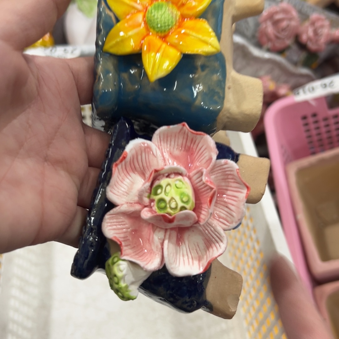 花盆拍满20元发货，退款拉黑