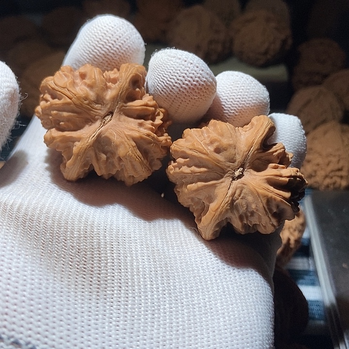 文玩核桃吊坠盘龙虎