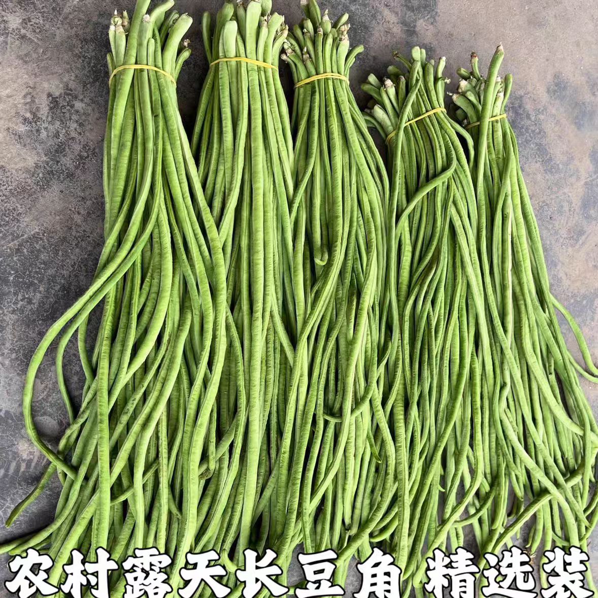 滨海老家长的豆角