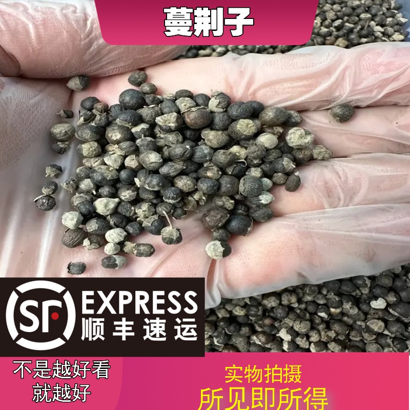 蔓荆子成都中药材批发别名： 蔓荆实、万荆子、蔓青子、蔓荆