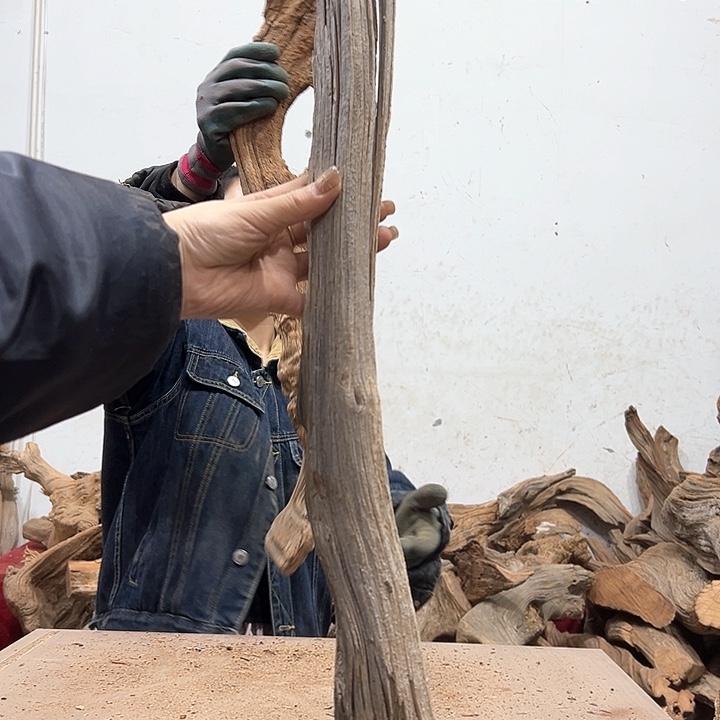 柏木鸿*我们的生活也