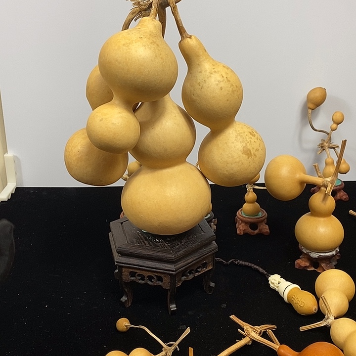 @***@哈哈哈哈哈哈哈哈哈