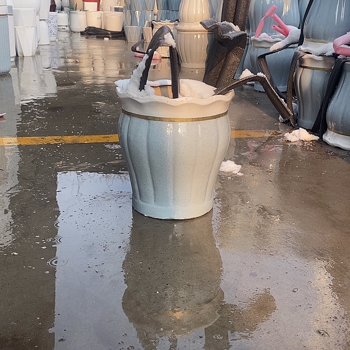 花口蓝南瓜中口32高36福利