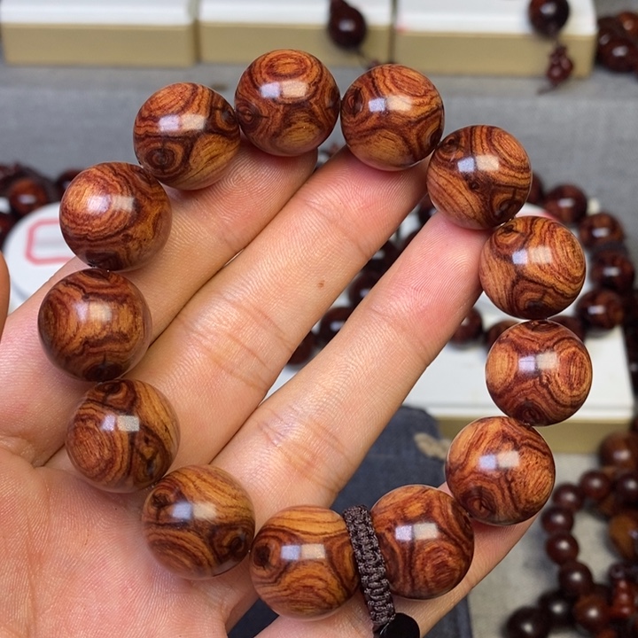 团***V1.8紫油梨对眼对眼