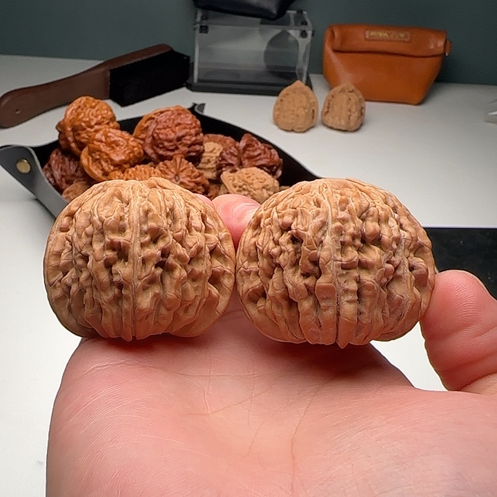 44-42-37一代铁楼S17号