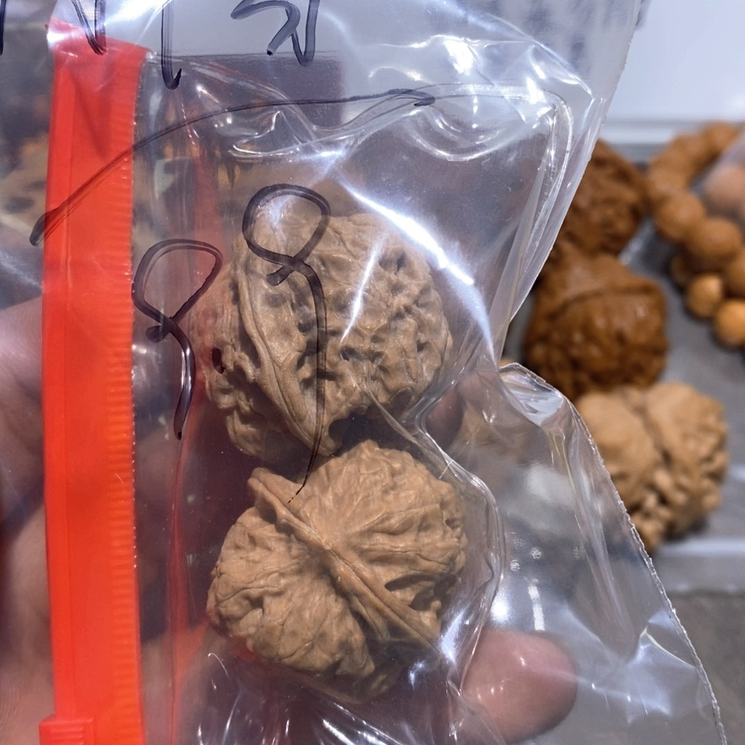 文玩核桃把件向*马蹄