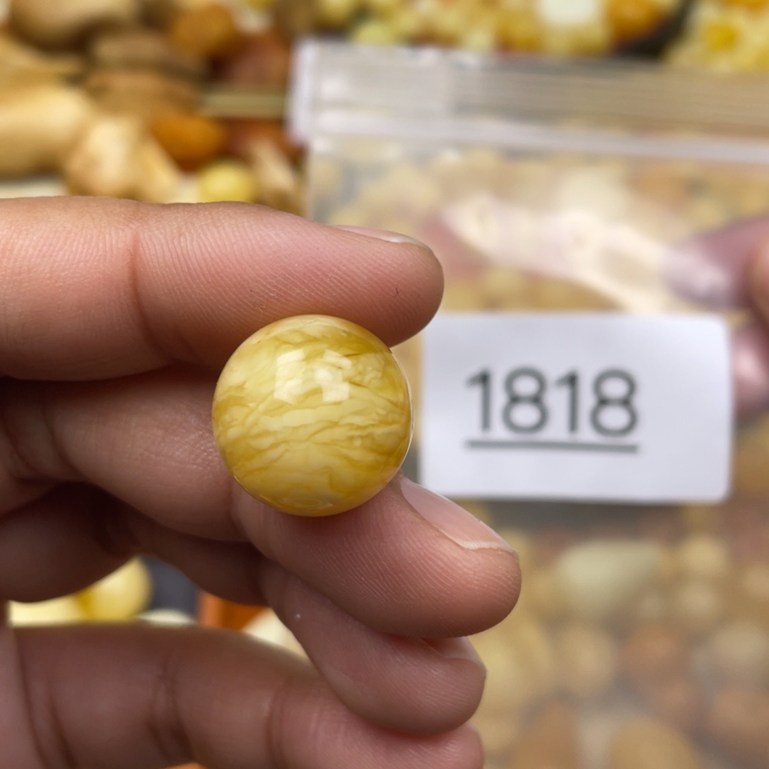 琥珀珠宝奇石未镶嵌春**?17.1 花粉