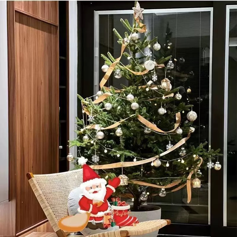 耐寒耐旱云杉圣诞树真树绿植盆栽适合庭院客厅装饰