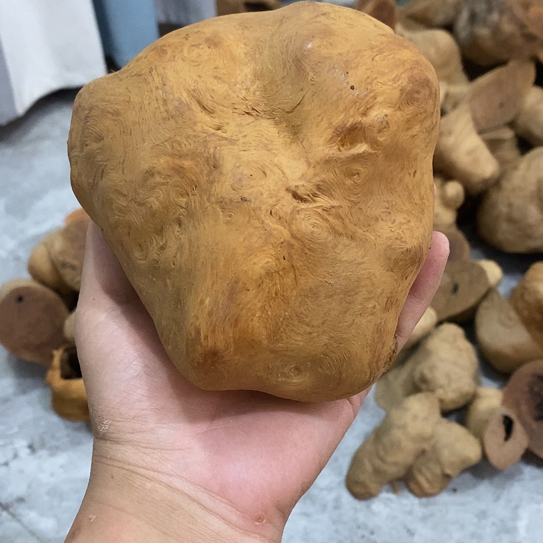 @****荔枝木荔枝木原料