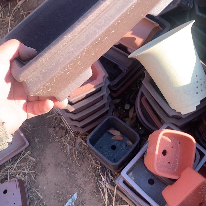 紫砂淘宝的时候看到