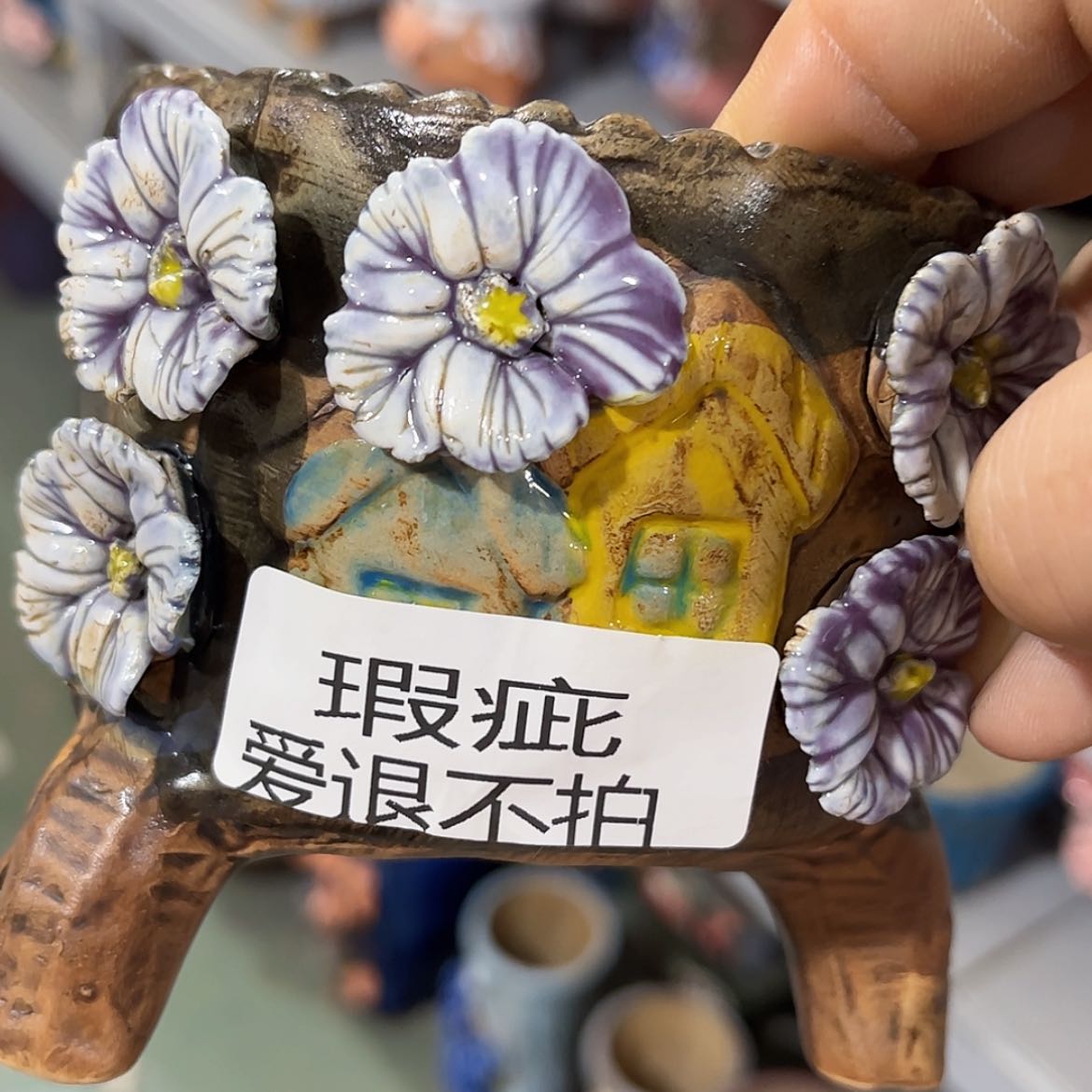 【闪购商品】红陶福利