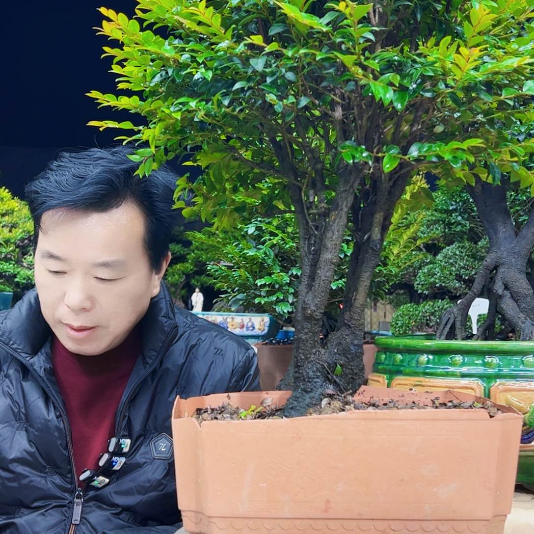 以实际为准y****m12345678