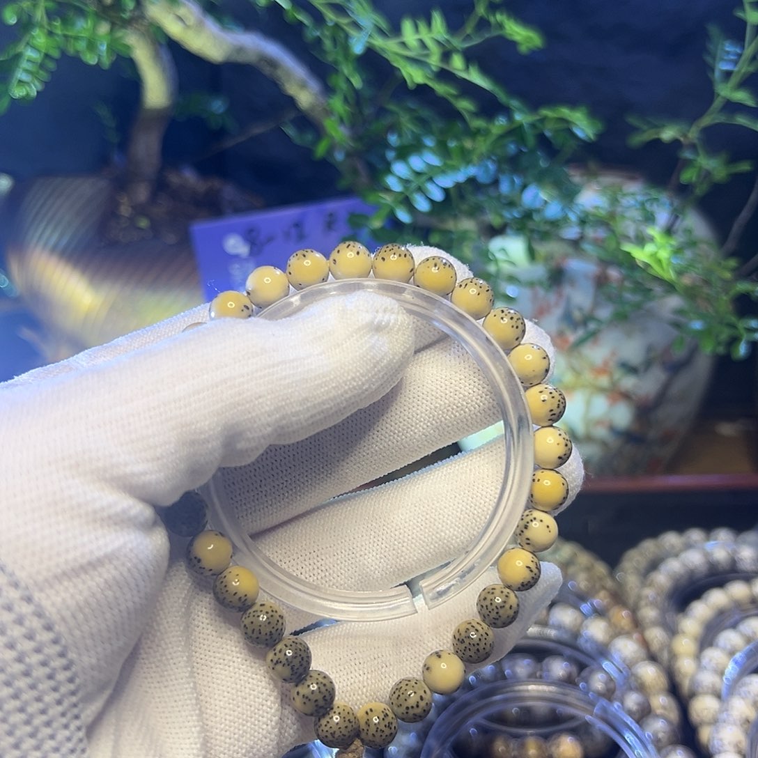 ****️手串星月菩提海南原生态