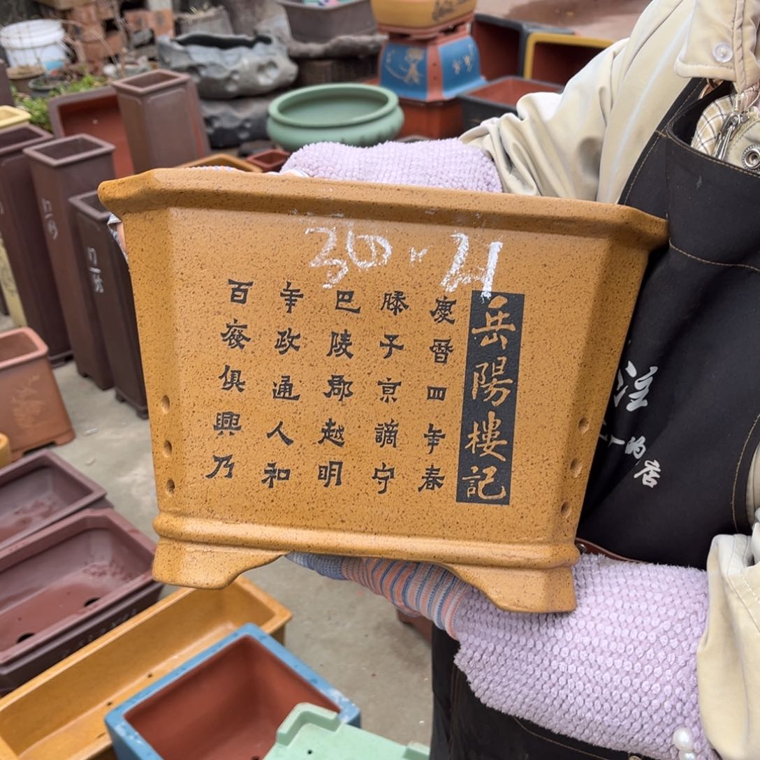 紫砂花盆盆景艺术