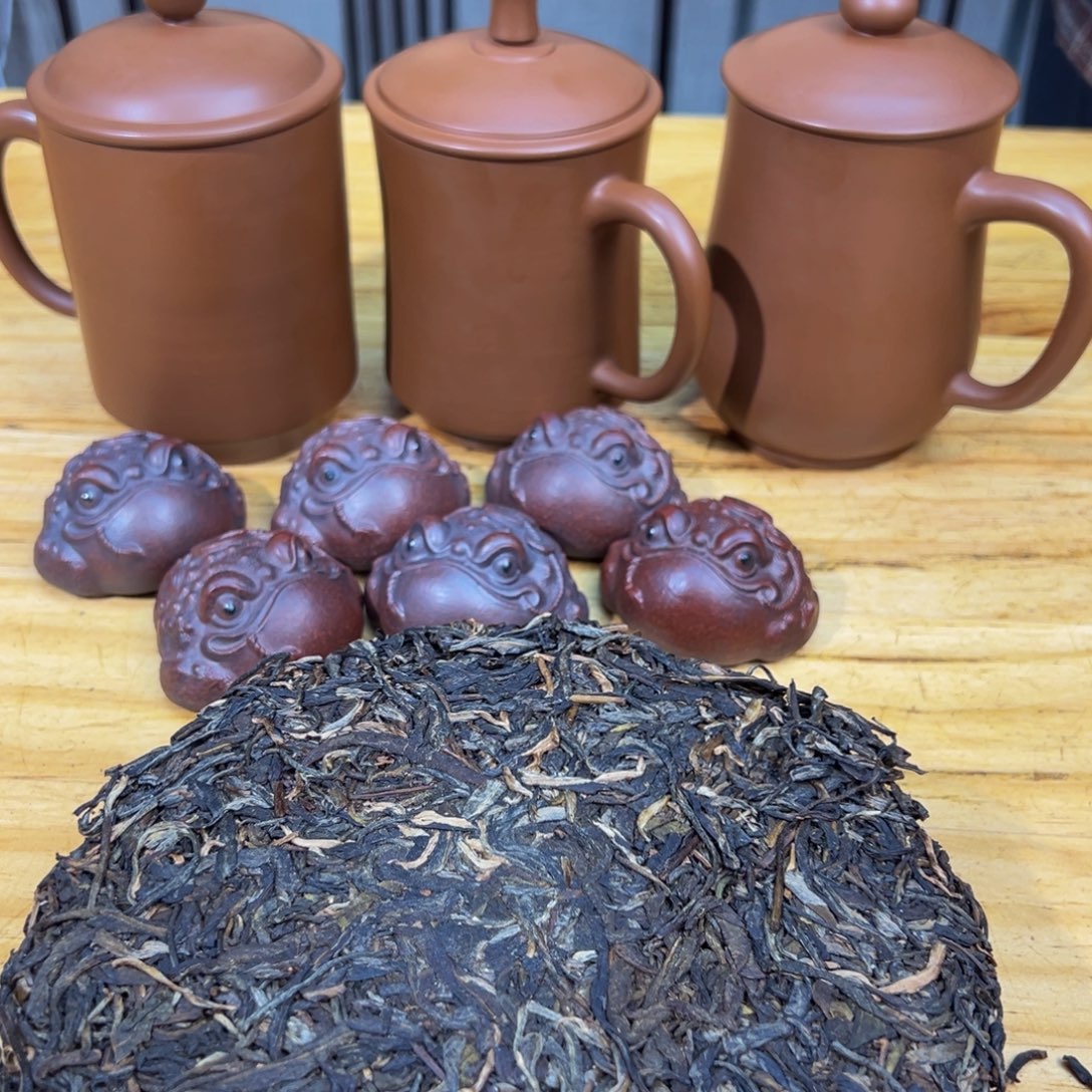 壶5号白云推荐推荐
