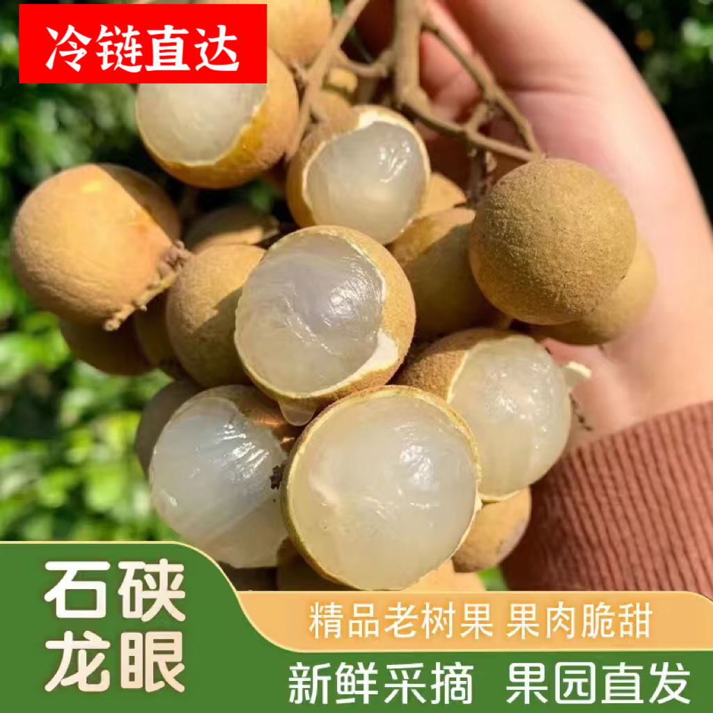【顺丰/EMS空运】广东正宗石硖龙眼肉厚多汁当季孕妇水果新鲜采摘