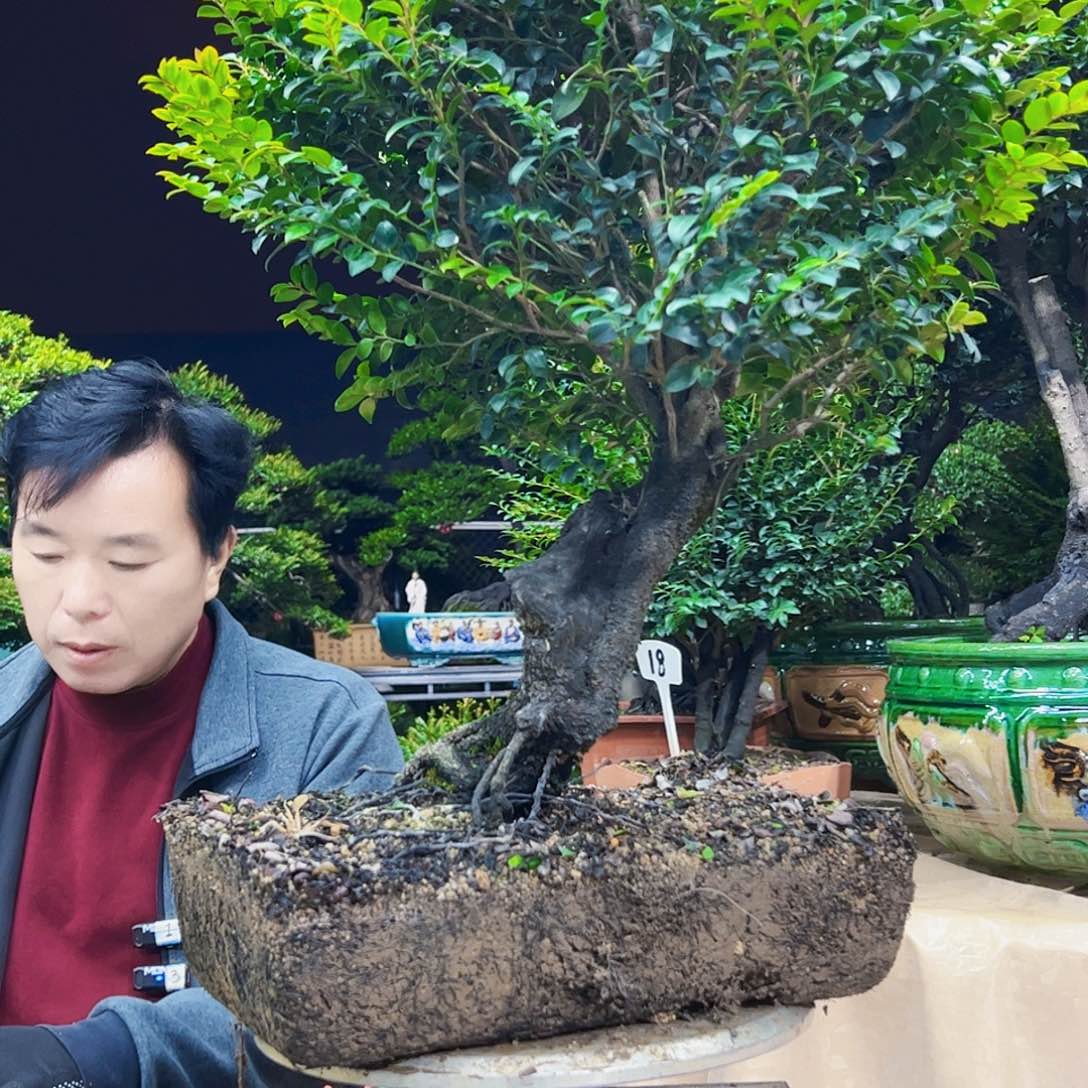 以实际为准梦**清123455678