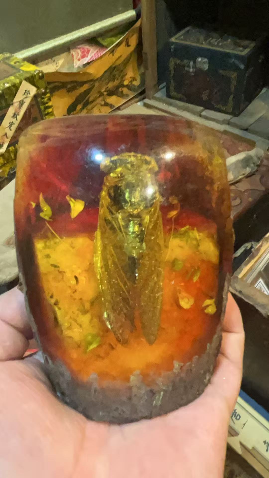 精品知了一个摆件