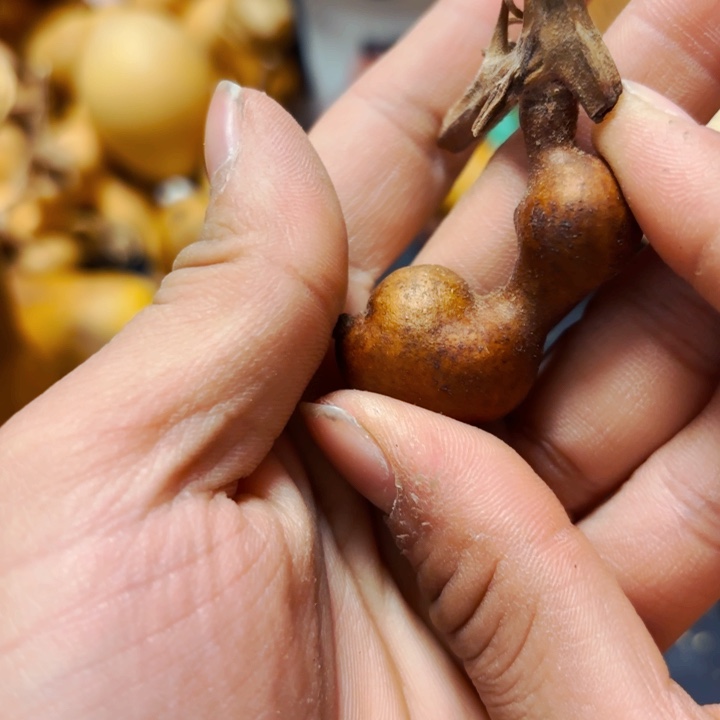 洛****力888888888888888888