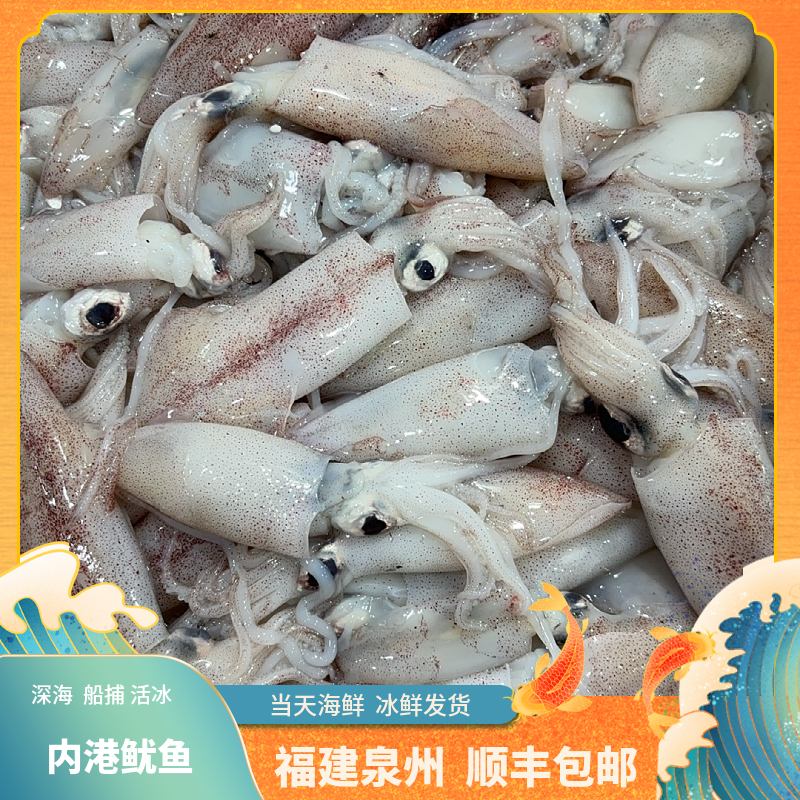  福建【小海兔】冰鲜发货.省内当天送达