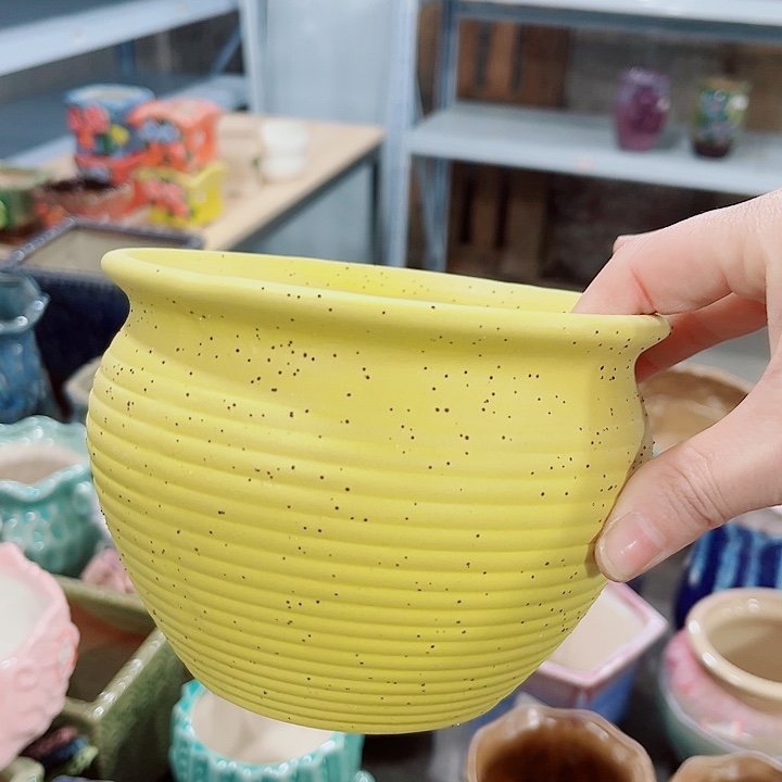 多肉花盆满10元包邮